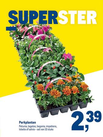 Perkplanten