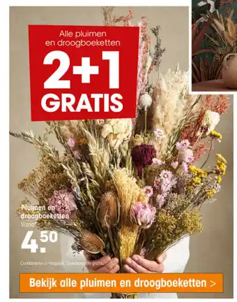 Pluimen en droogboeketten