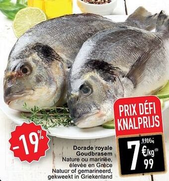 Cora Dorade royale goudbrasem aanbieding