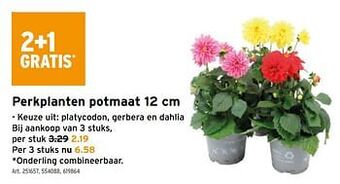 GAMMA Perkplanten potmaat aanbieding