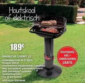 Barbecue loewy 55