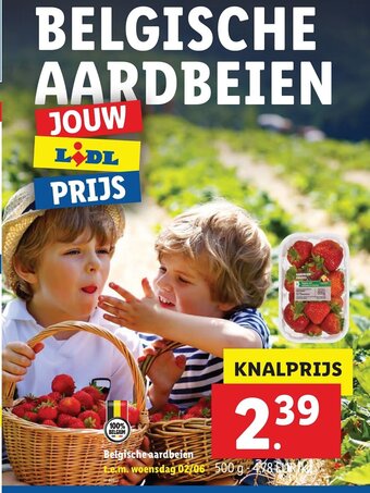 Lidl Belgische aardbeien aanbieding