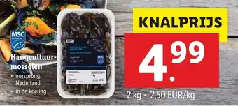 Lidl Hangcultuur mosselen aanbieding
