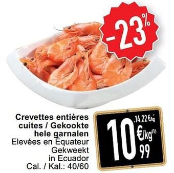 Cora Crevettes entières cuites - gekookte hele garnalen aanbieding