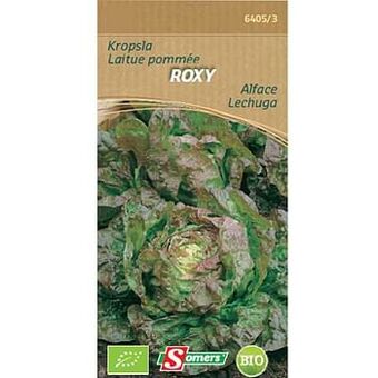 Brico Somers zaad pakket kropsla ’Roxy’ aanbieding