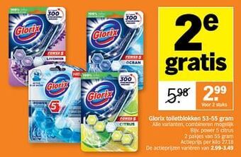 Glorix toiletblokken power 5 citrus