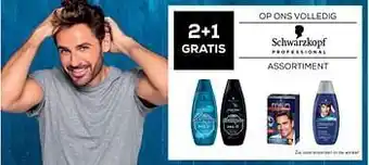 2+1 gratyis op ons volledig assortiment