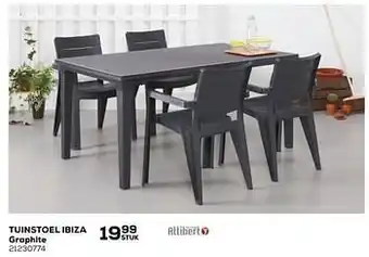 Tuinstoel ibiza graphite