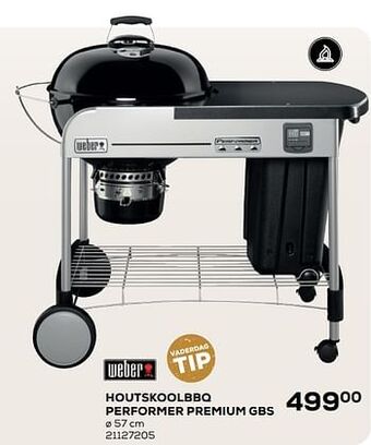 Weber houtskoolbbq performer premium gbs