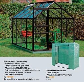 Tuinserre ivy