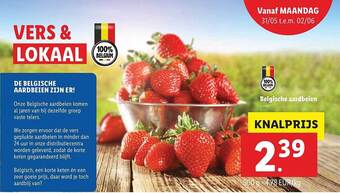 Lidl Belgische Aardbeien aanbieding