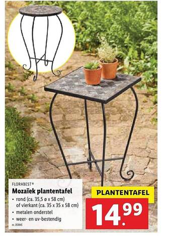 Florabest Mozaiek Plantentafel