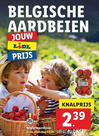 Belgische Aardbeien 500g