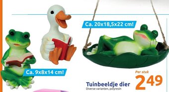 Action Tuinbeeldje dier aanbieding