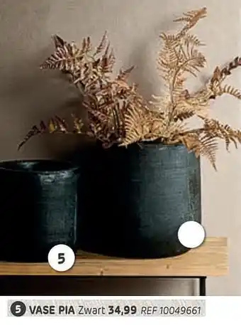 Vase pia