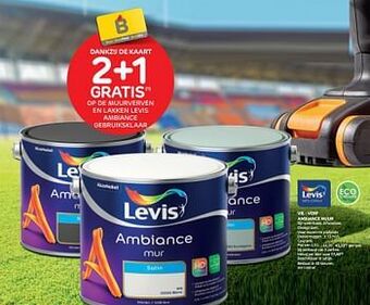 Brico Verf ambiance muur aanbieding