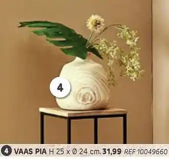 Brico Vaas pia aanbieding