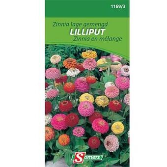 Brico Somers zaad pakket zinnia lage gemengd ’Lilliput’ aanbieding