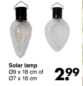 Wibra Solar lamp aanbieding