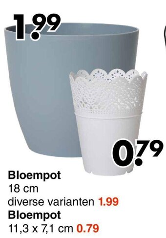 Wibra Bloempot aanbieding