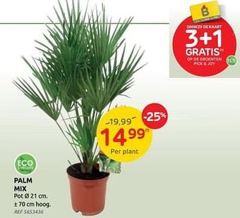 Palm mix