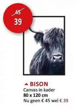 Bison canvas in kader