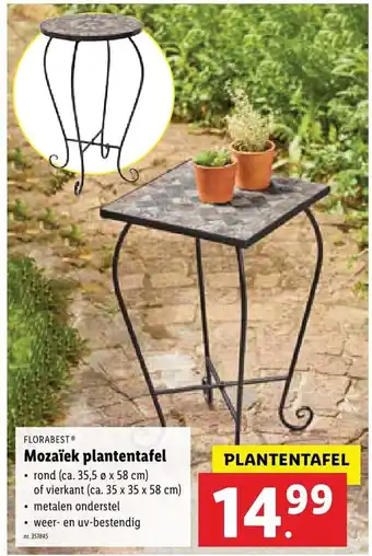 Lidl Florabest Mozaïek plantentafel aanbieding