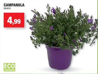 Hubo Campanula aanbieding