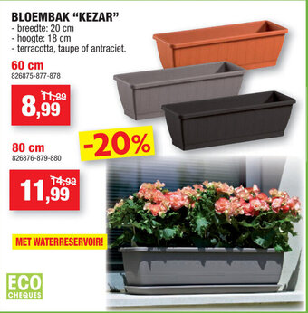Bloembak Kezar