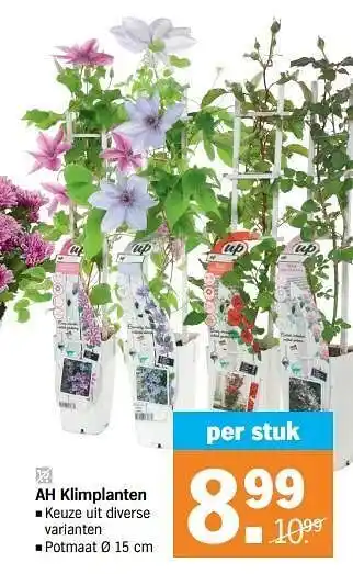 Albert Heijn Ah klimplanten aanbieding