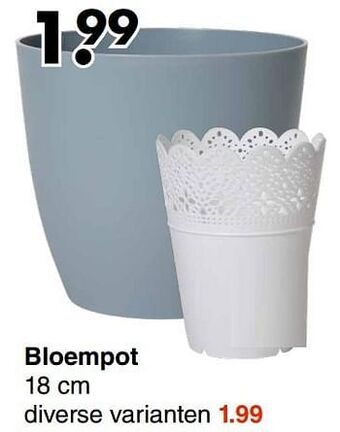 Wibra Bloempot aanbieding