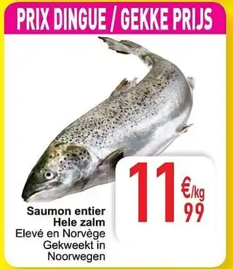 Cora Saumon entier hele zalm aanbieding
