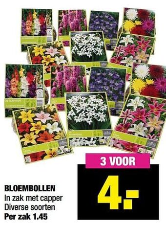 Big Bazar Bloembollen aanbieding