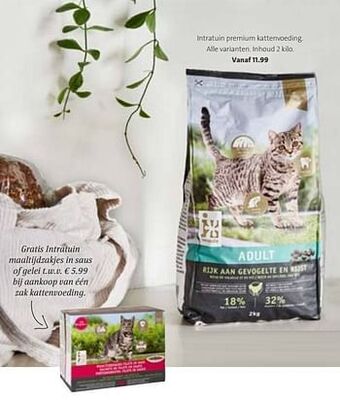Intratuin Intratuin premium kattenvoeding aanbieding