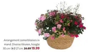 Arrangement zomerbloeiers in mand