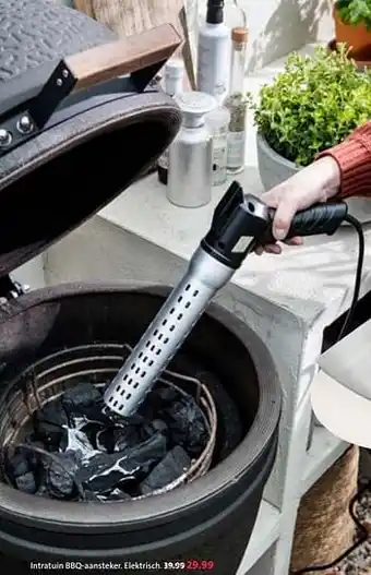 Intratuin Intratuin bbq-aansteker aanbieding
