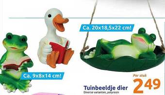 Action Tuinbeeldje Dier aanbieding