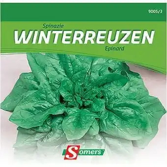 Brico Somers zaad pakket spinazie ’Winterreuzen’ aanbieding