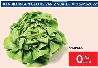 Alvo Kropsla aanbieding