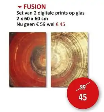 Weba Fusion set van 2 digitale prints op glas aanbieding