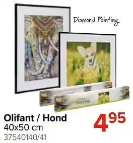 Olifant - hond
