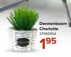 Dennenboom charlotte