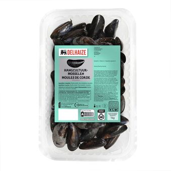 Delhaize Hangcultuur Mosselen aanbieding
