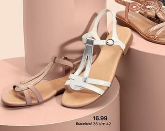 Schoenen