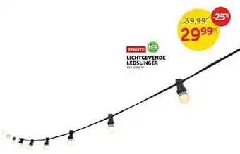Lichtgevende ledslinger