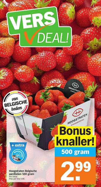 Hoogstraten Belgische Aardbeien