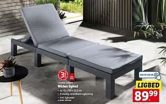 Lidl Wicker ligbed aanbieding