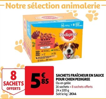 Auchan Sachets Fraicheur En Sauce Pour Chien Pedigree aanbieding