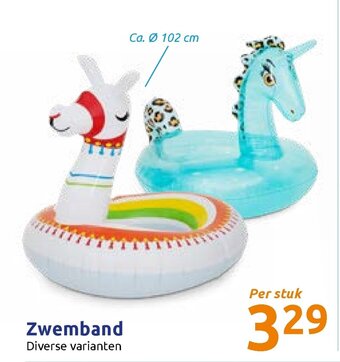 Action Zwembad aanbieding