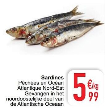 Cora Sardines aanbieding